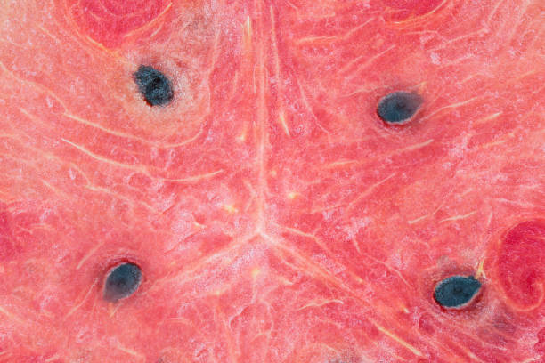 istock Juicy red watermelon flesh, seamless pattern. 1213610788