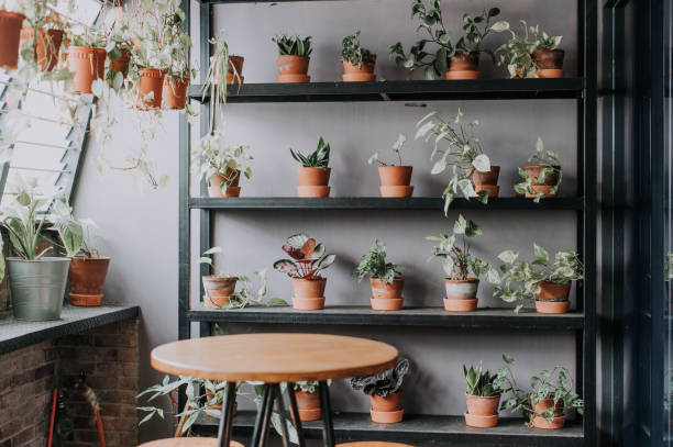 istock a lounge area for coffee break with potted plants on rack, window , table and chairs for office staff 1213614813