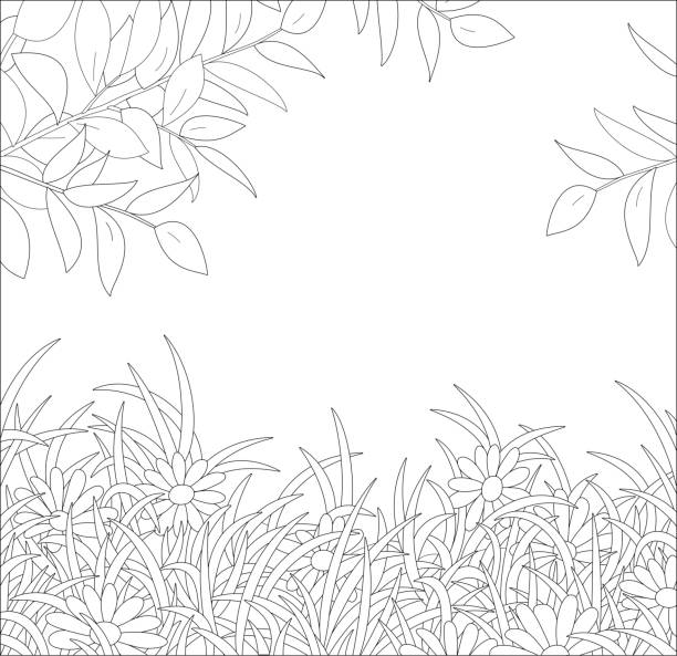 Branches and wildflowers among grass Natural spring background with tree leaves over beautiful daisies on a forest glade, black and white vector cartoon illustration for a coloring book page coloring illustrations stock illustrations