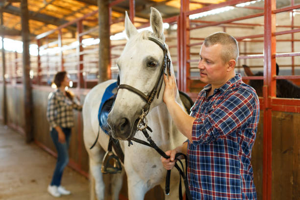 istock Mature positive man farmer standing  with white horse at  stabling 1213623771