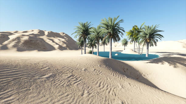 3d рендеринга - оазис в пустыне с жарким солнцем в фоновом режиме - oasis стоковые фото и изображения