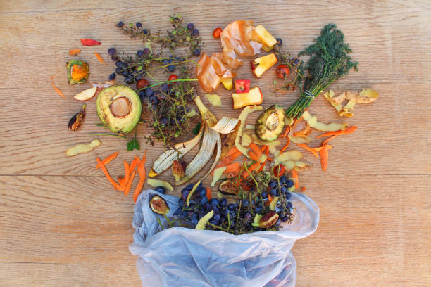 istock Domestic waste for compost from fruits and vegetables in garbage bin. 1213626244