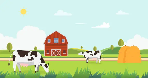 Vector illustration of Meadow landscape with farm and cow eating grass vector illustration.Farm with cows and hays.Landscape with farm.Nature farm in summer