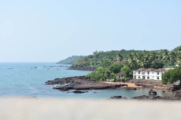 istock view of the ocean with blurred foreground in goa 1213628313