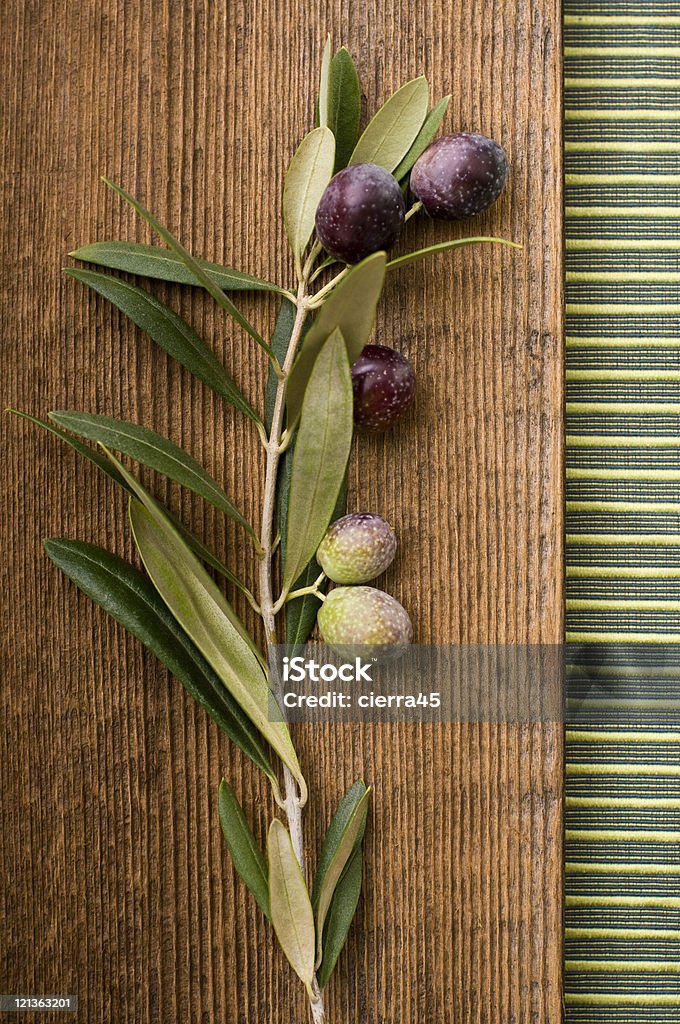 Olive Branch vida - Foto de stock de Aceituna libre de derechos