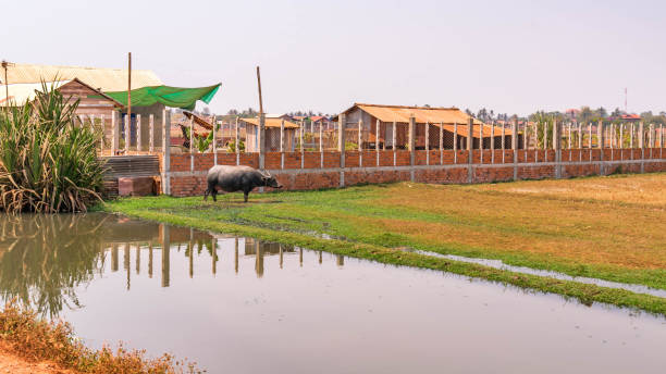 istock wet farm land 1213633414