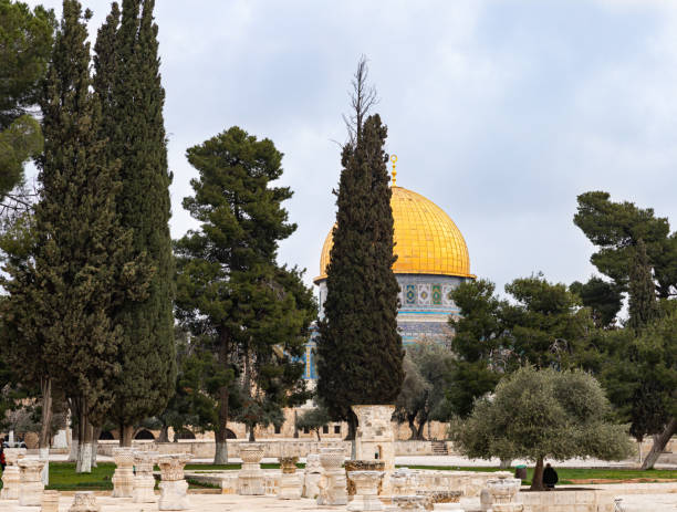 vista da cúpula da rocha da praça em frente ao museu islâmico no monte do templo na cidade velha de jerusalém em israel - jerusalem old town dome of the rock city - fotografias e filmes do acervo