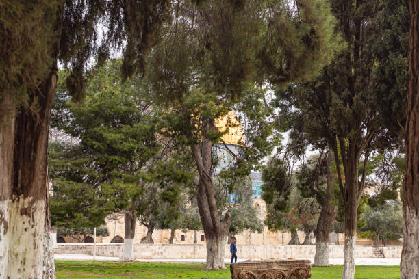 vista da cúpula da rocha através do parque no monte do templo perto do portão dos mouros, conhecido como portão mughrabi na cidade velha de jerusalém em israel - jerusalem old town dome of the rock city - fotografias e filmes do acervo