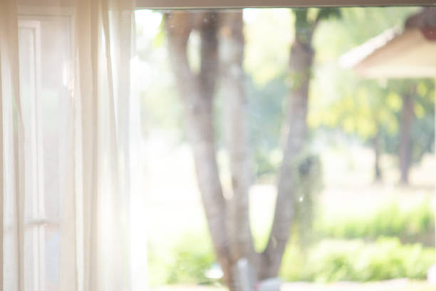 istock blur curtain with window green garden from background. 1213639117