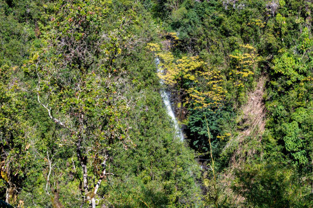 10+ Kahuna Falls Stock Photos, Pictures & Royalty-Free Images - iStock