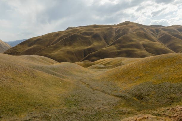 istock mountains near the reservoir 1213640616