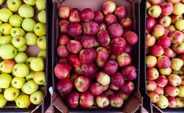 istock green and red apples in a box on a street store 1213643514
