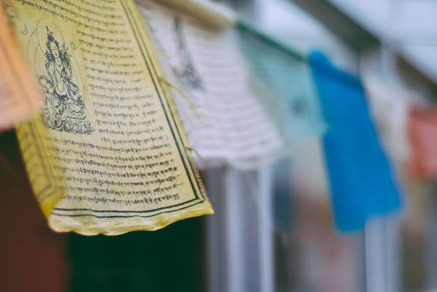 banderas de oración debudista en el himalaya - many colored prayer flags fotografías e imágenes de stock