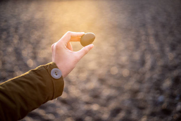 istock Female hand holding black pebbles at seaside 1213644803