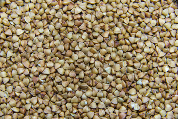 istock Brown dry uncooked buckwheat seeds macro. 1213645182