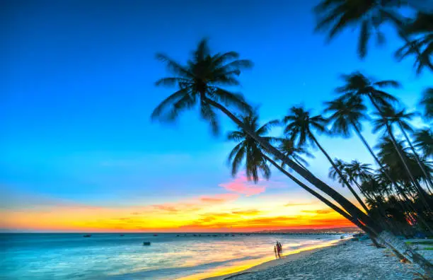 Sunset on the beach with tilted coconut trees, long sandy beaches and beautiful golden sky and romantic for the weekend resort.