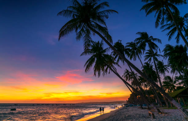 istock Sunset on the beach with tilted coconut trees, long sandy beaches and beautiful golden sky 1213648441