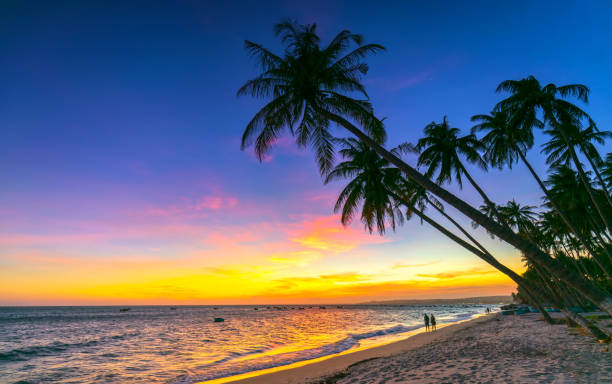 istock Sunset on the beach with tilted coconut trees, long sandy beaches and beautiful golden sky 1213648462