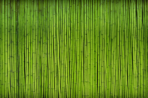 fondo de textura de la valla de bambú verde. photo