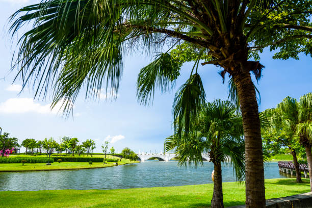 istock Beautiful Tainan Metropolitan Park in Taiwan 1213651807