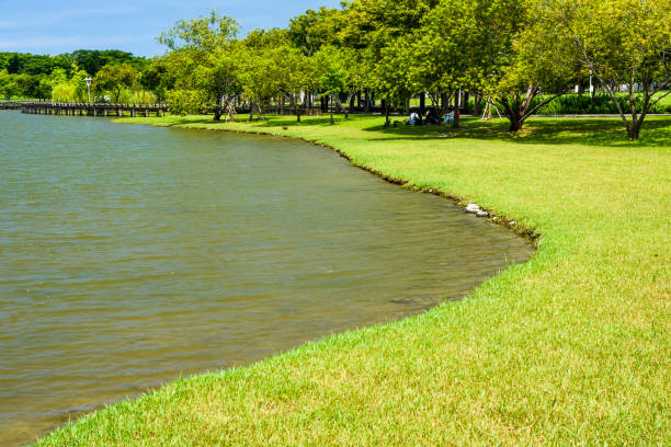 bellissimo parco metropolitano di tainan a taiwan - wavelet foto e immagini stock