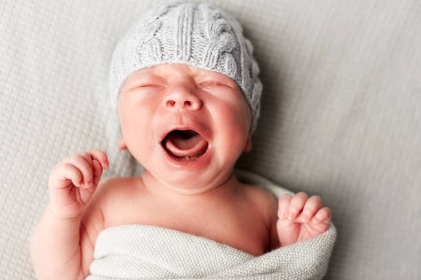 istock Different photos of a cute newborn 1213654004