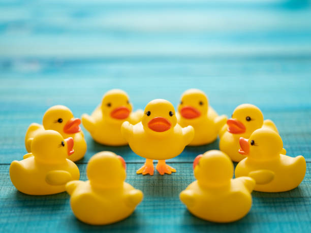 istock One different yellow rubber duck standing on legs, standing out from a crowd of other normal yellow rubber ducks looking at the standing duck, set on a turquoise wooden table background. 1213657369