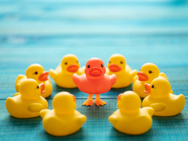 istock One different orange rubber duck standing on legs, standing out from a crowd of other normal yellow rubber ducks looking at the standing duck, set on a turquoise wooden table background. 1213657374