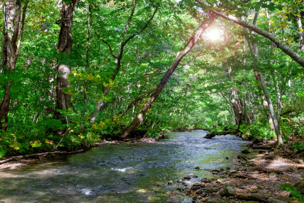 istock Oirase Stream view During the winter 1213658894