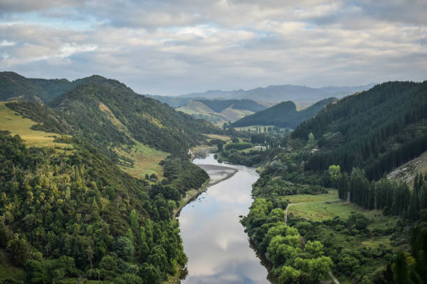istock New Zealand 1213659931