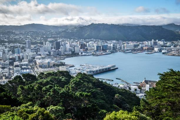 istock Wellington, New Zealand 1213660154