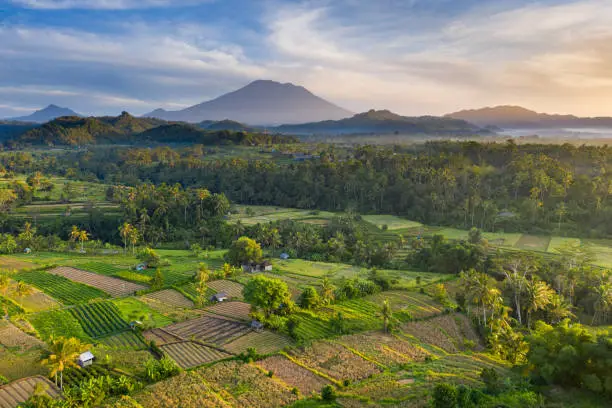 Sunrise over rice fields on the north of Bali. Volcano Agung on the background.