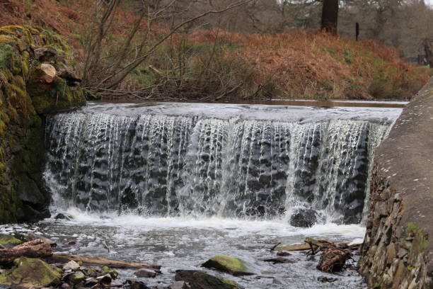 istock water strem falling and flowing at a counrty park 1213666779