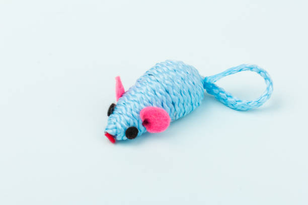 istock blue toy mouse for pet isolated on blue background 1213669957