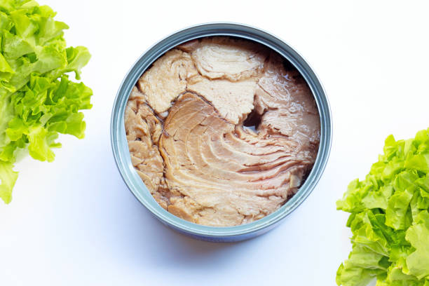 istock Canned tuna fish  with green oak leaves on white 1213671317