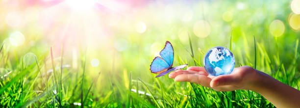 istock Butterfly With Glass Globe - Love And Care Environment Concept 1213671929