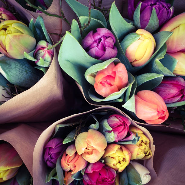 Spring tulips floral flower bunch