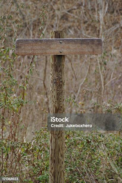 Cartello Vuoto In Inverno - Fotografie stock e altre immagini di A forma di croce - A forma di croce, Bosco, Cambiamento