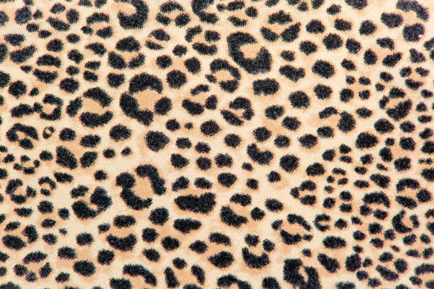 istock background exotic fabric imitation leopard skin 1213680781