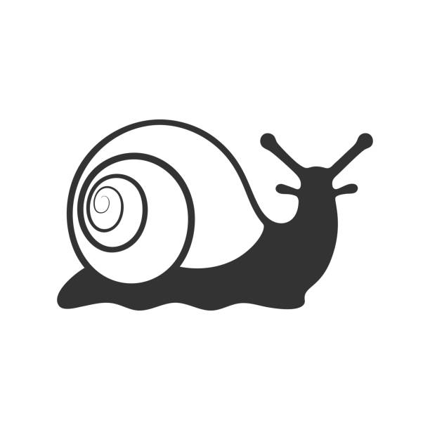 137 Cartoon Of The Snail Tattoo Illustrations & Clip Art - iStock 137 Cartoon Of The Snail Tattoo Illustrations & Clip Art - iStock