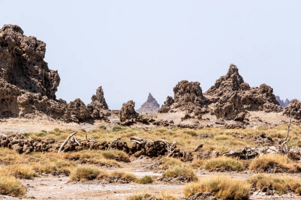 istock Volcanic rock formation in Lake Abbe 1213682337