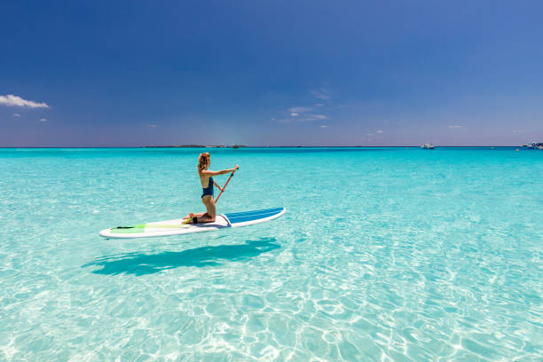 istock Young woman enjoying while paddleboarding in summer day at sea. 1213683192