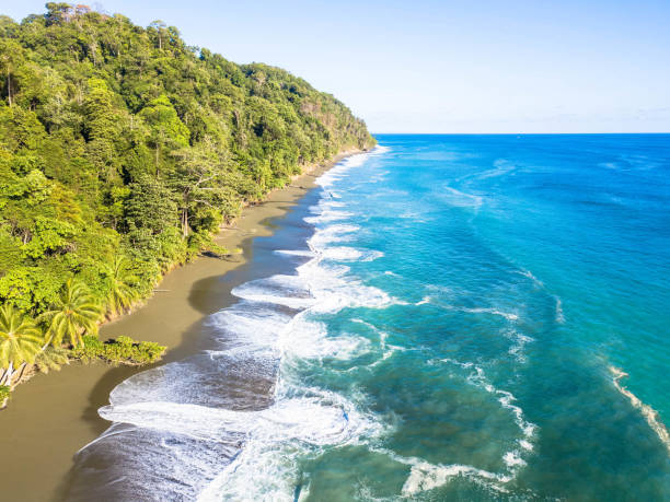 Aerial view: Corcovado National Park, Costa Rica Aerial view: Corcovado National Park, Costa Rica corcovado stock pictures, royalty-free photos & images