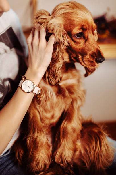 istock Young woman and her dog 1213684018