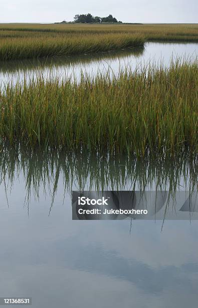 Cześć - zdjęcia stockowe i więcej obrazów Bagno - Bagno, Bez ludzi, Eastern Shore