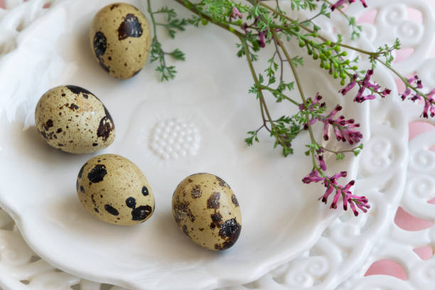 istock Quail eggs and wild flowers on white vintage plate 1213687495