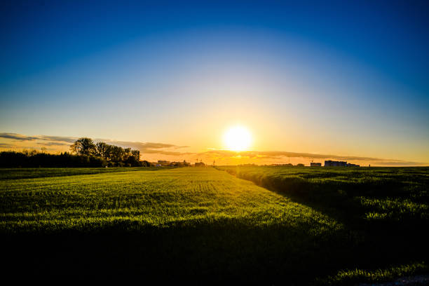 istock Green meadow under blue sky with clouds. Beautiful Nature Sunset Landscape. 1213687784