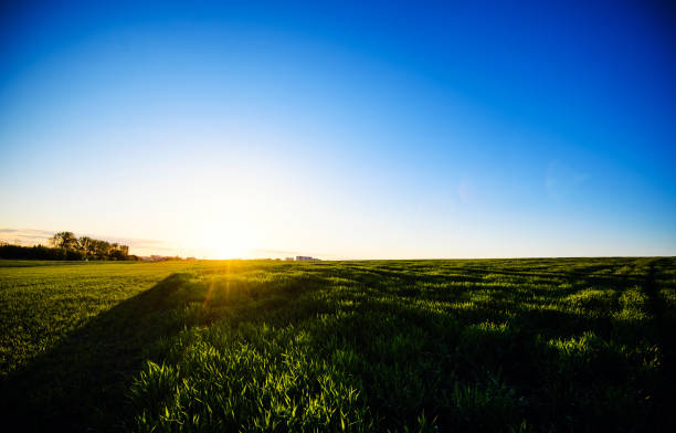 istock Green meadow under blue sky with clouds. Beautiful Nature Sunset Landscape. 1213688426