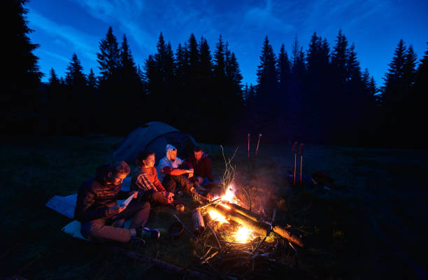 istock Tourists sitting near campfire in evening forest. 1213691402