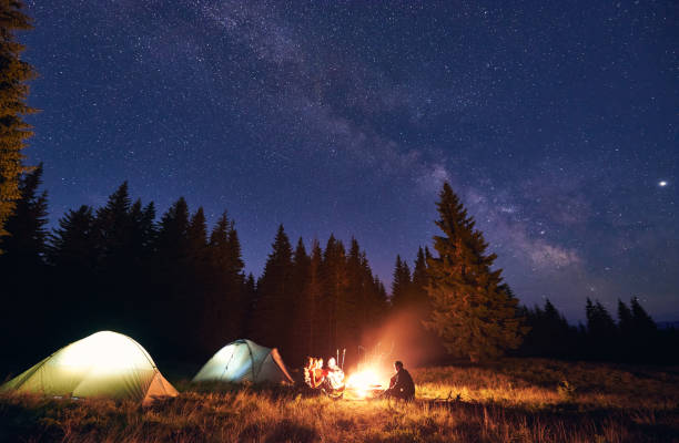 istock Tourists sitting near campfire in night forest. 1213691453